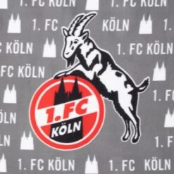 1. FC Köln Picknickdecke Grau -Sportausrüstung 1 fc koeln picknickdecke grau6