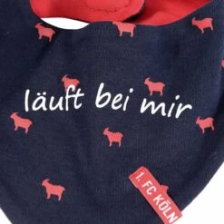 1. FC Köln Sabbellappe Grüner Hennes -Sportausrüstung 1 fc koeln sabbellappe gruener hennes3