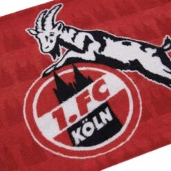 1. FC Köln Schrumpfhandtuch "Dom" -Sportausrüstung 1 fc koeln schrumpfhandtuch dom6