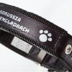 Borussia Mönchengladbach Hundehalsband 30-45cm Schwarz 8 Borussia Mönchengladbach Hundehalsband 30-45cm Schwarz -Sportausrüstung borussia moenchengladbach hundehalsband 30 45cm schwarz3