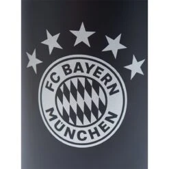 FC Bayern München Edelstahlflasche 1L 6 FC Bayern München Edelstahlflasche 1L -Sportausrüstung fc bayern muenchen edelstahlflasche 1l3