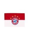 FC Bayern München Fahne 5 Sterne Logo 150x100 Cm