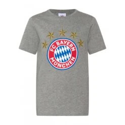 FC Bayern München Herren T-Shirt 5 Sterne Logo Grau