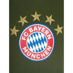 FC Bayern München Herren T-Shirt 5 Sterne Logo Olive -Sportausrüstung fc bayern muenchen herren t shirt 5 sterne logo olive3