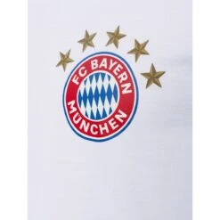 FC Bayern München Herren T-Shirt 5 Sterne Small Logo Weiß -Sportausrüstung fc bayern muenchen herren t shirt 5 sterne small logo weiss4