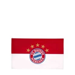 FC Bayern München Hissfahne 5 Sterne Logo 250x150cm