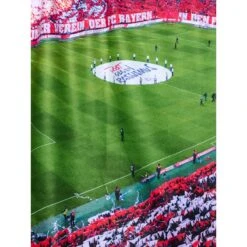 FC Bayern München Kuschelfleecedecke Allianz Arena 6 FC Bayern München Kuschelfleecedecke Allianz Arena -Sportausrüstung fc bayern muenchen kuschelfleecedecke allianz arena3