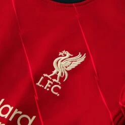 Nike Liverpool FC Babykit Heimtrikot 2021/22 Gym Red/bright Crimson/fossil -Sportausrüstung nike liverpool fc babykit heimtrikot 2021 22 gym red bright crimson fossil3